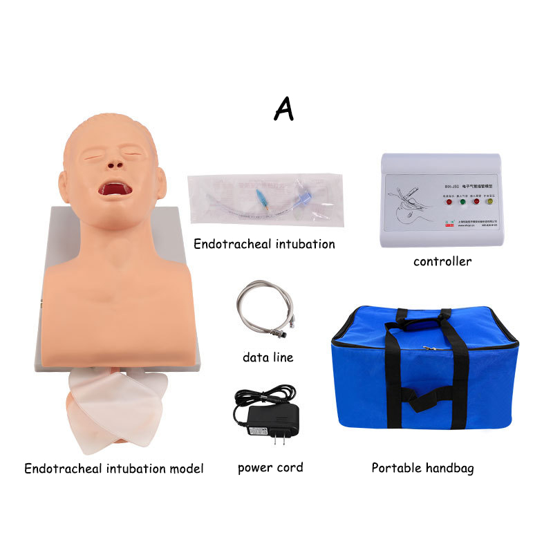 大人の挿管ダミー,フェアリングエクササイズレギュレーター,サ - Medical Lab Management のレビューと価格